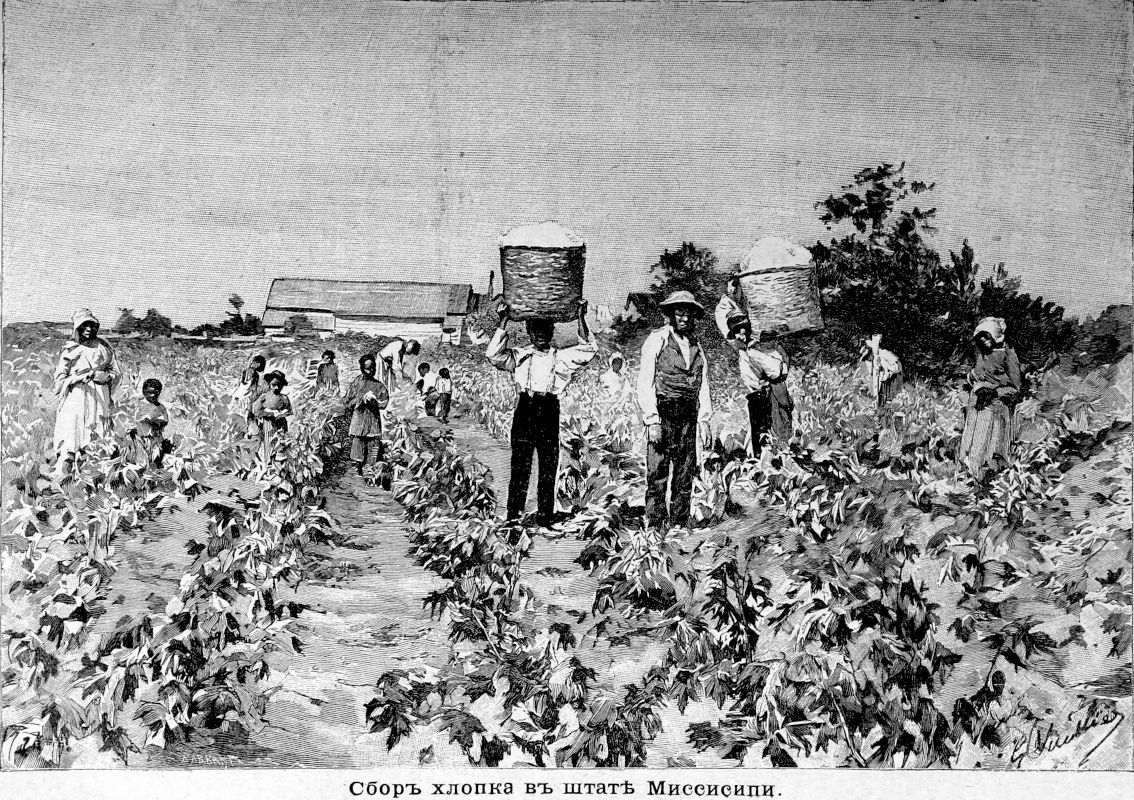 541 Сбор хлопка в штате Миссисипи